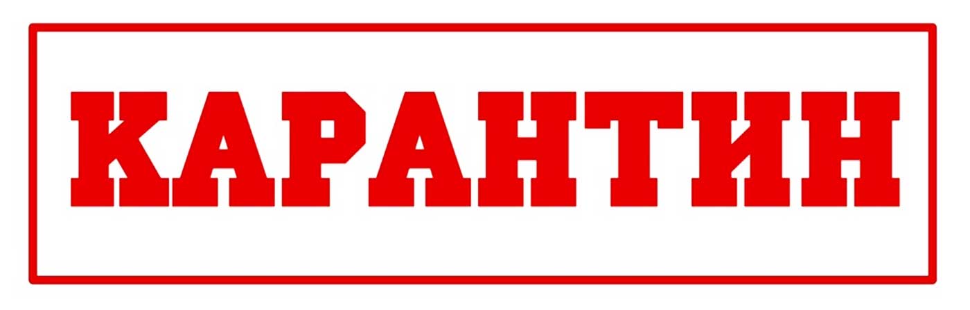 ВНИМАНИЕ! КАРАНТИН!